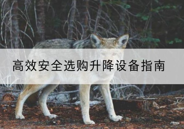 建湖升降货梯厂家推荐-*安全选购升降设备指南