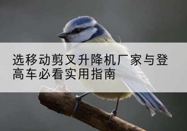 建湖电动升降机厂家-选移动剪叉升降机厂家与登高车必看实用指南