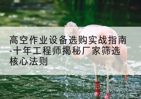 建湖剪叉式升降机厂家-高空作业设备选购实战指南-十年工程师揭秘厂家筛选核心法则